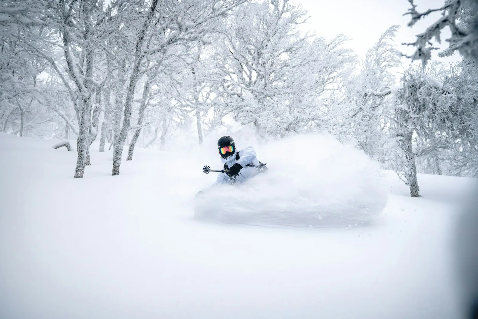 A skier makes a deep powder turn between snow-covered birch trees.