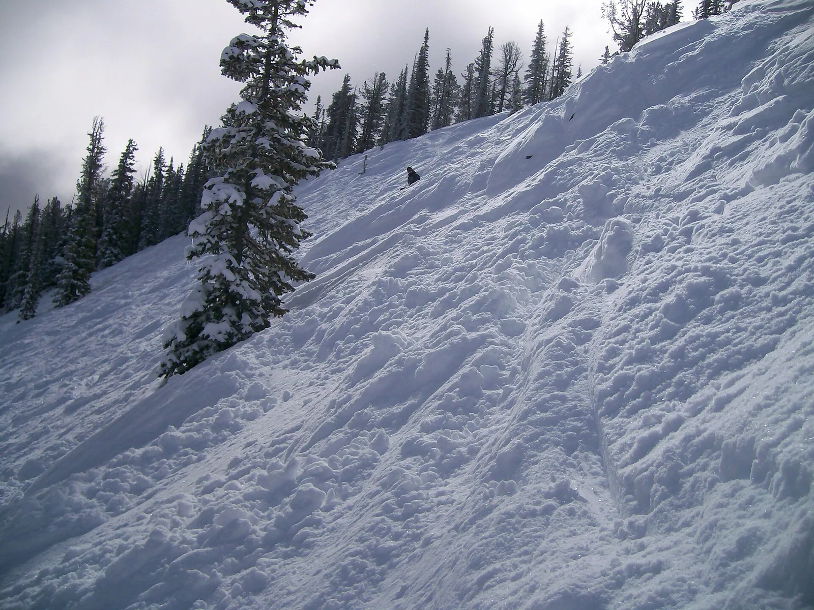 Spring break powder at Discovery - panoramio