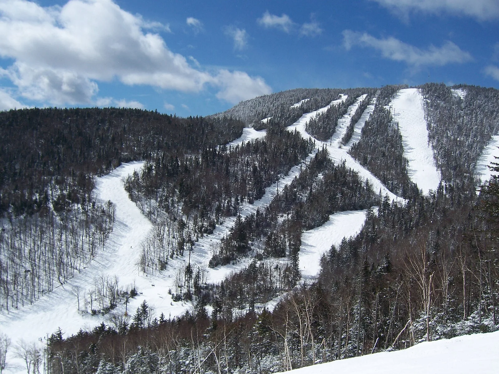 Ski 003
