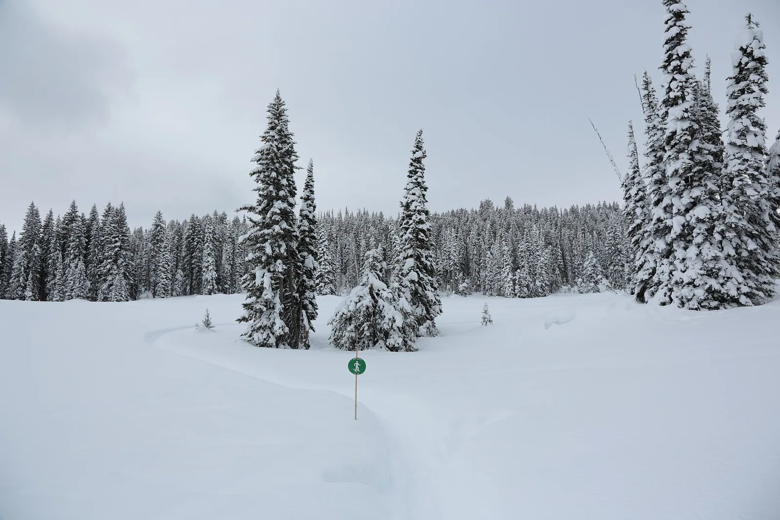 Snowshoe trail 7