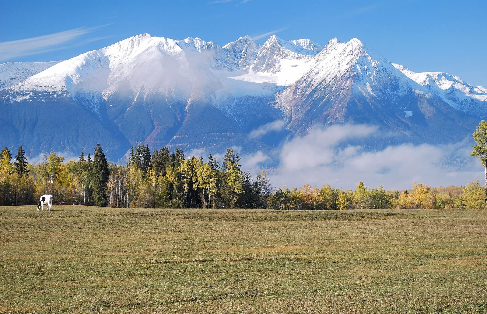 Hudson Bay Mountain - panoramio