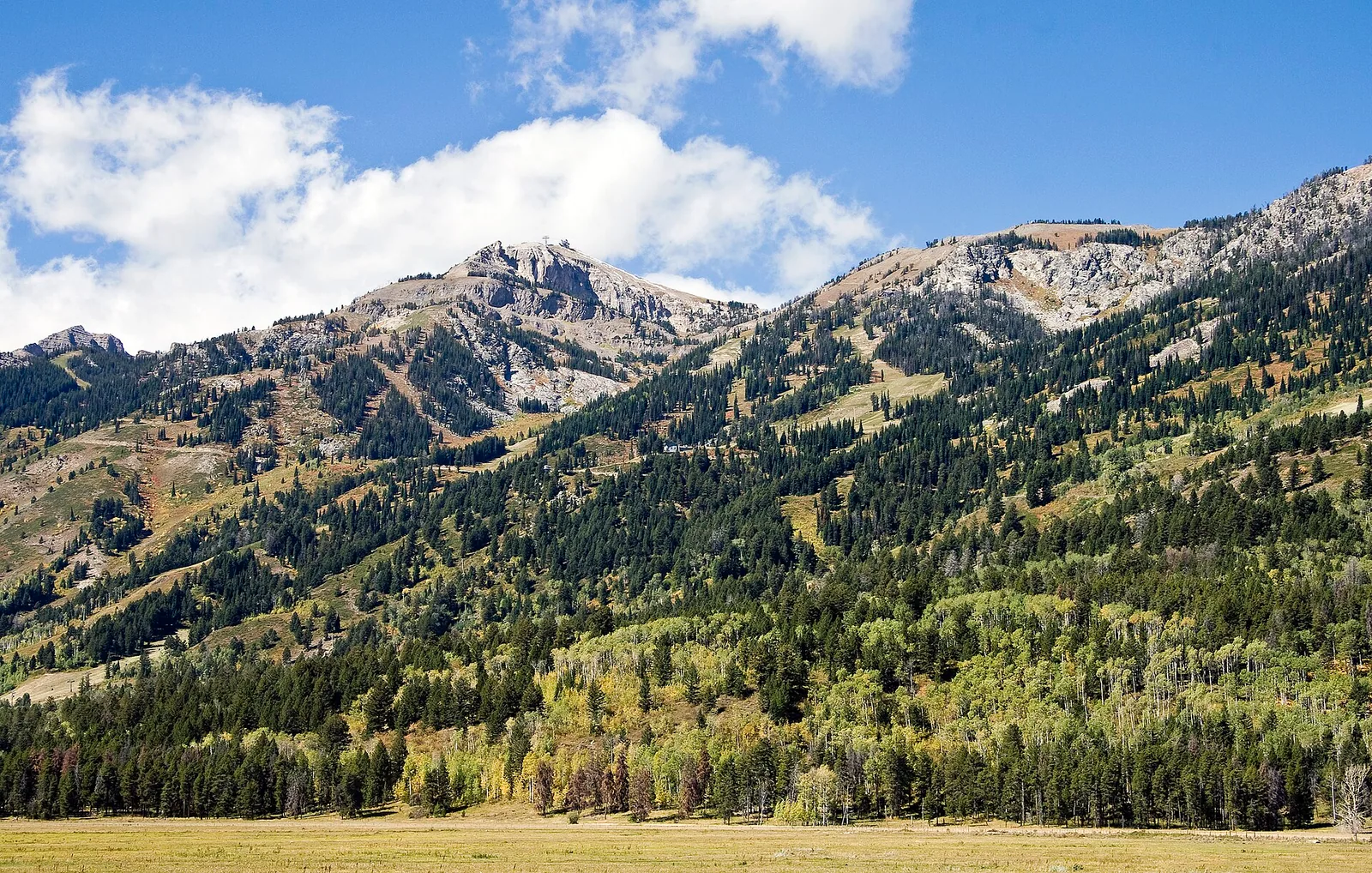 Rendezvous Mtn WY2