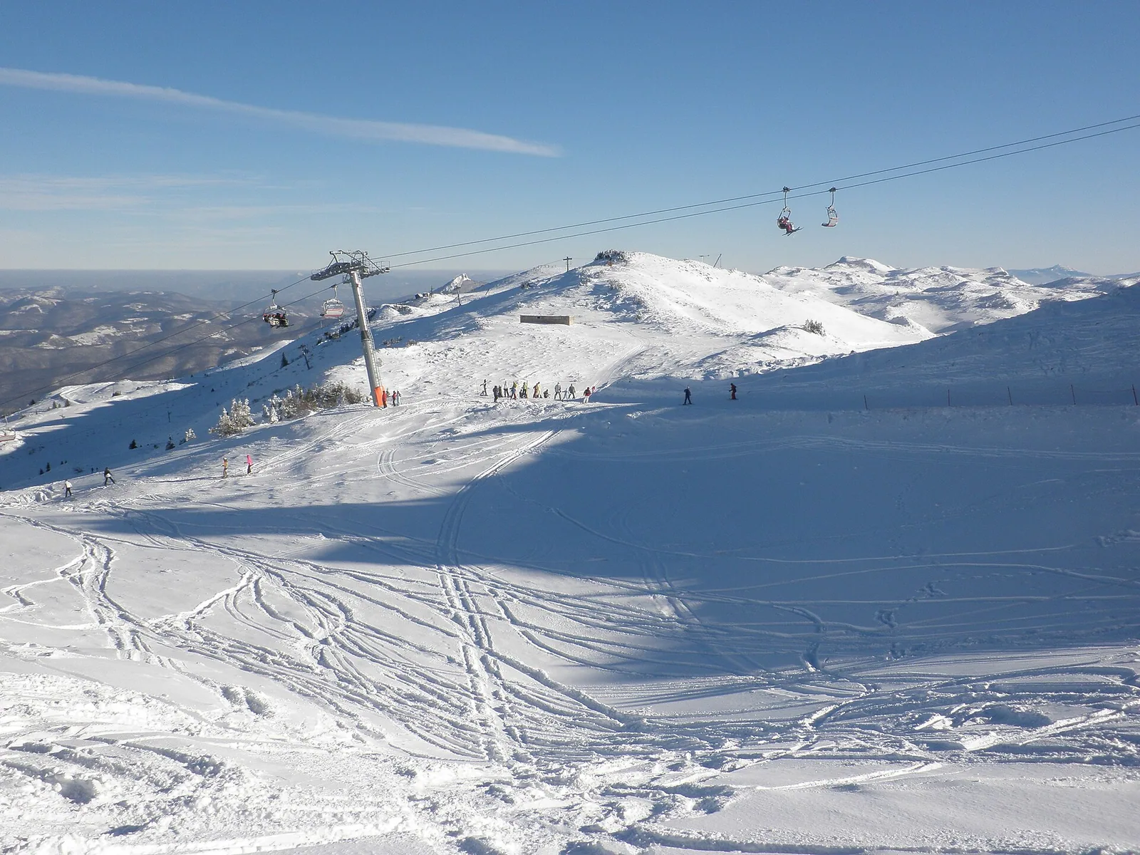 Jahorina - ogorjelica - 2011 - panoramio - nikola pu (3)