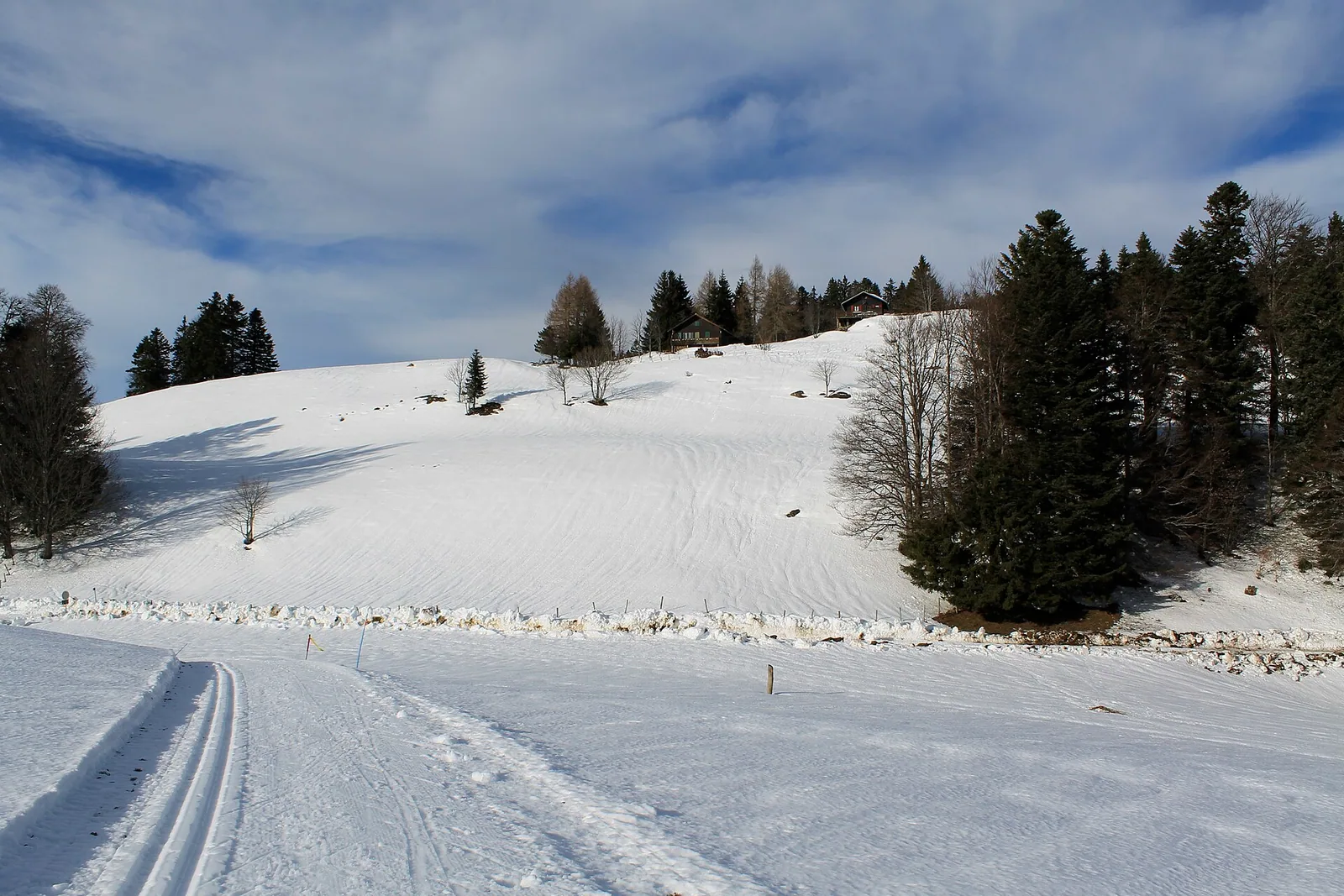 Fruitières de Nyon in winter - panoramio (25)