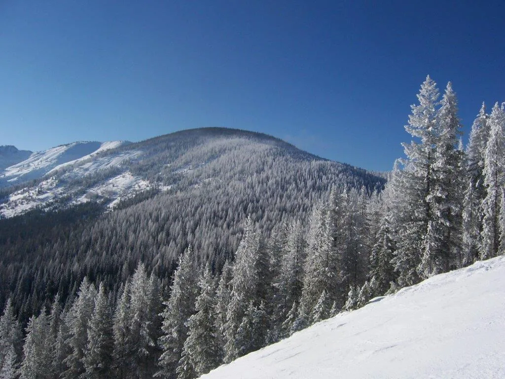 Near Lookout Pass Ski Area (26572031068)