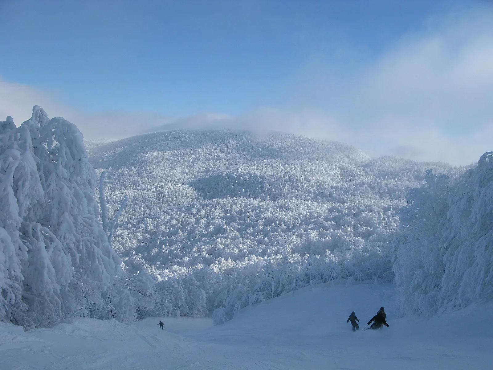 Paysage nature Mont SUTTON