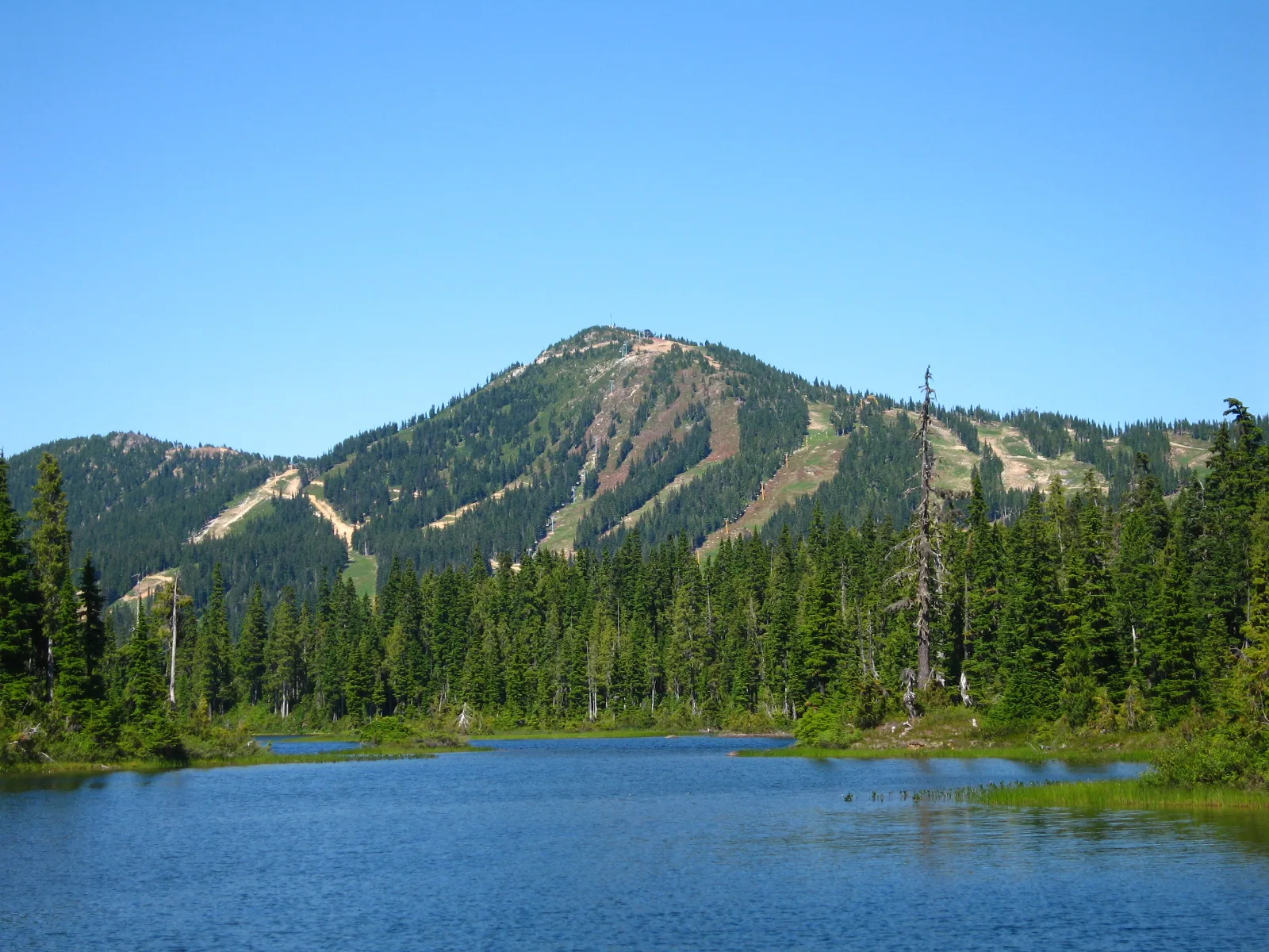 Mount Washington Summer