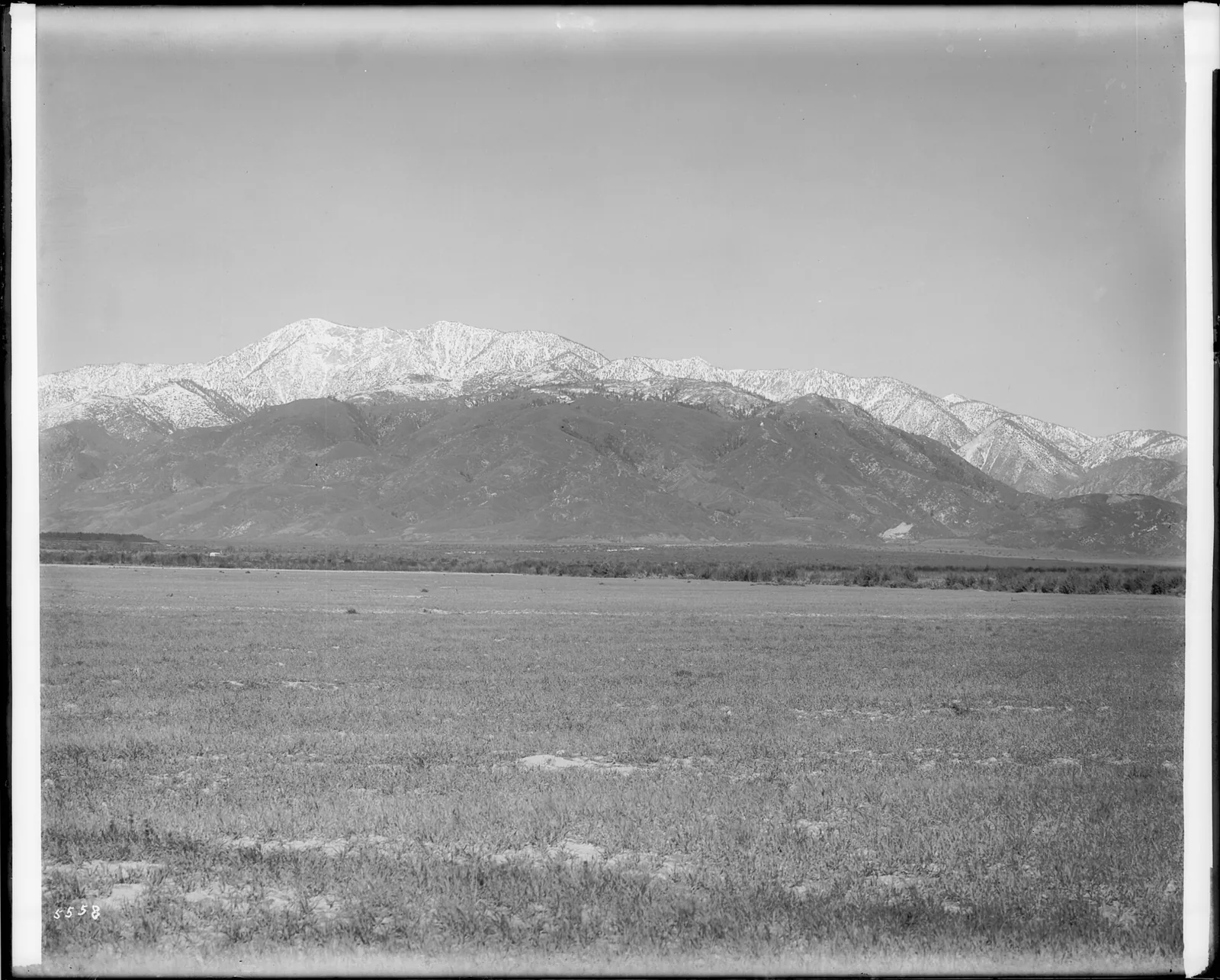 Distant view of snow-capped Mount San Antonio (or Mount Baldy), ca.1920 (CHS-5558)