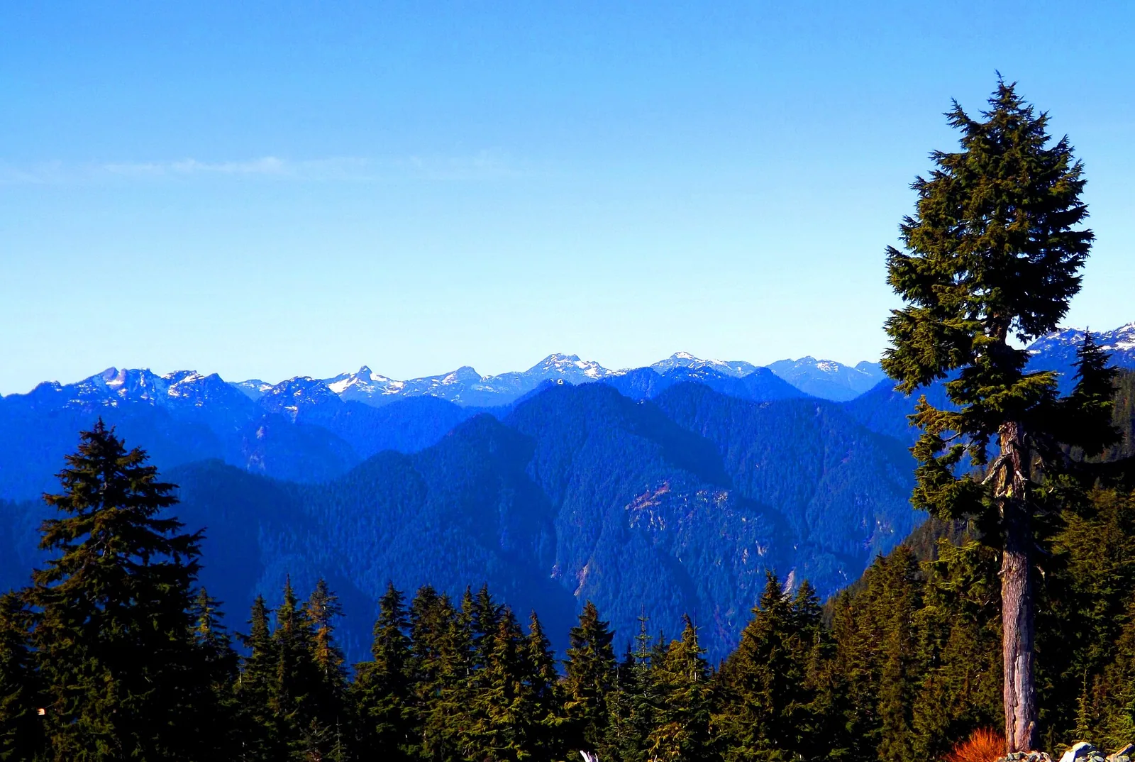 Mt. Seymour (16521533368)