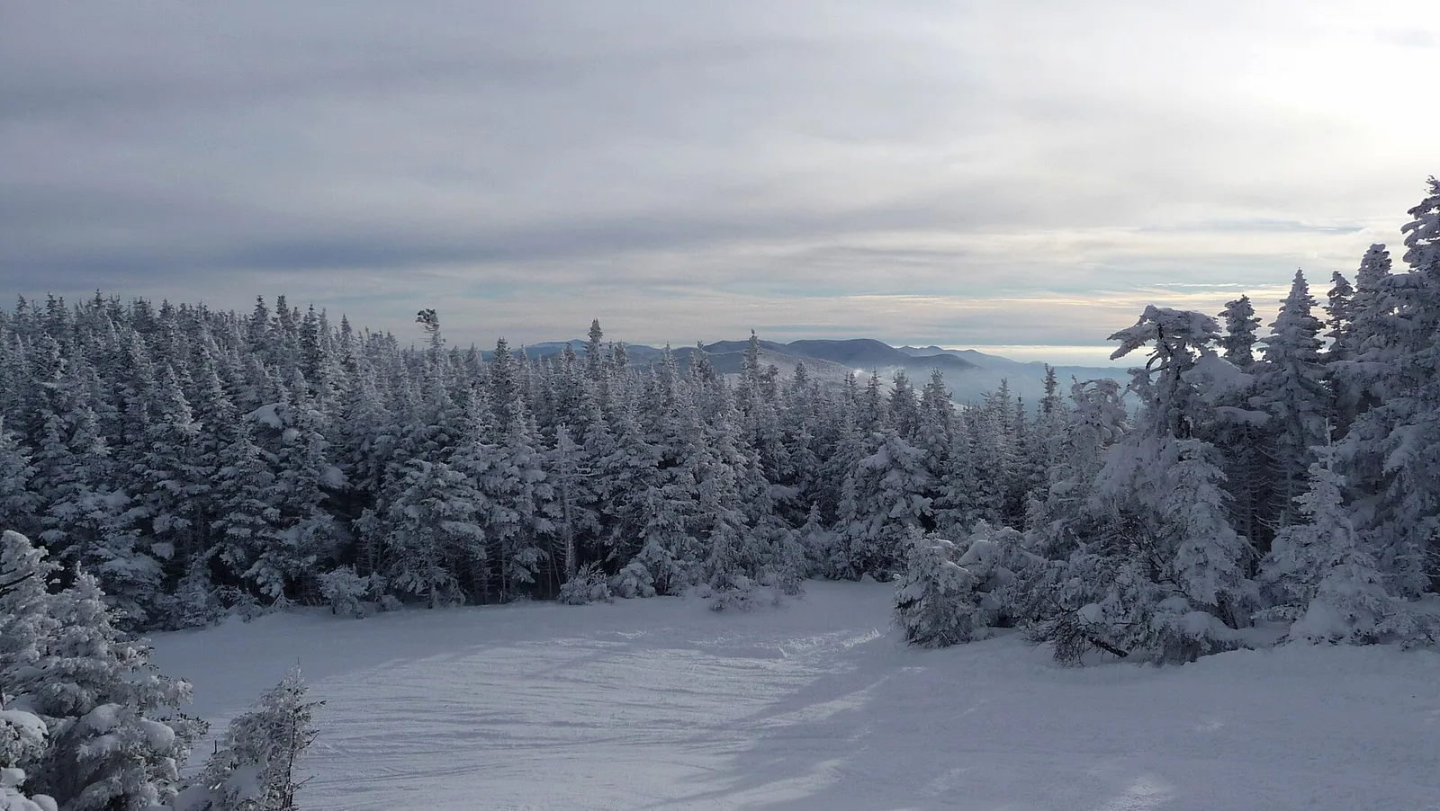 Upper Jester Ski trail, Sugarbush Resort, Warren - panoramio
