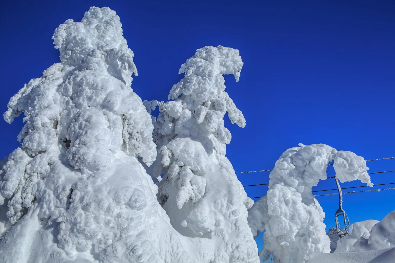 Mystical snow sculptures on Sun Peaks (8461067656)