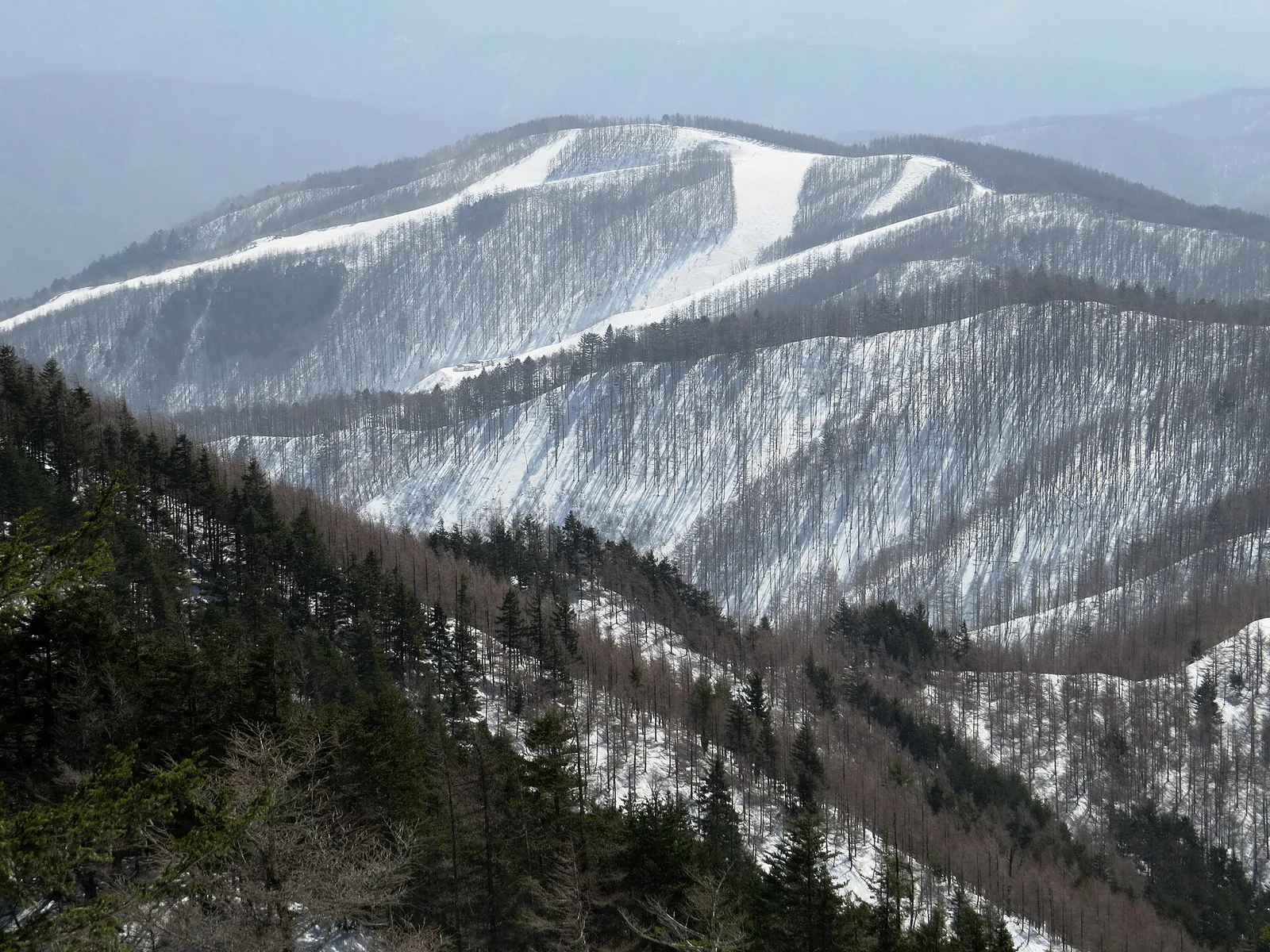 Yabuharakogen Ski resort from Mount Osasasawa
