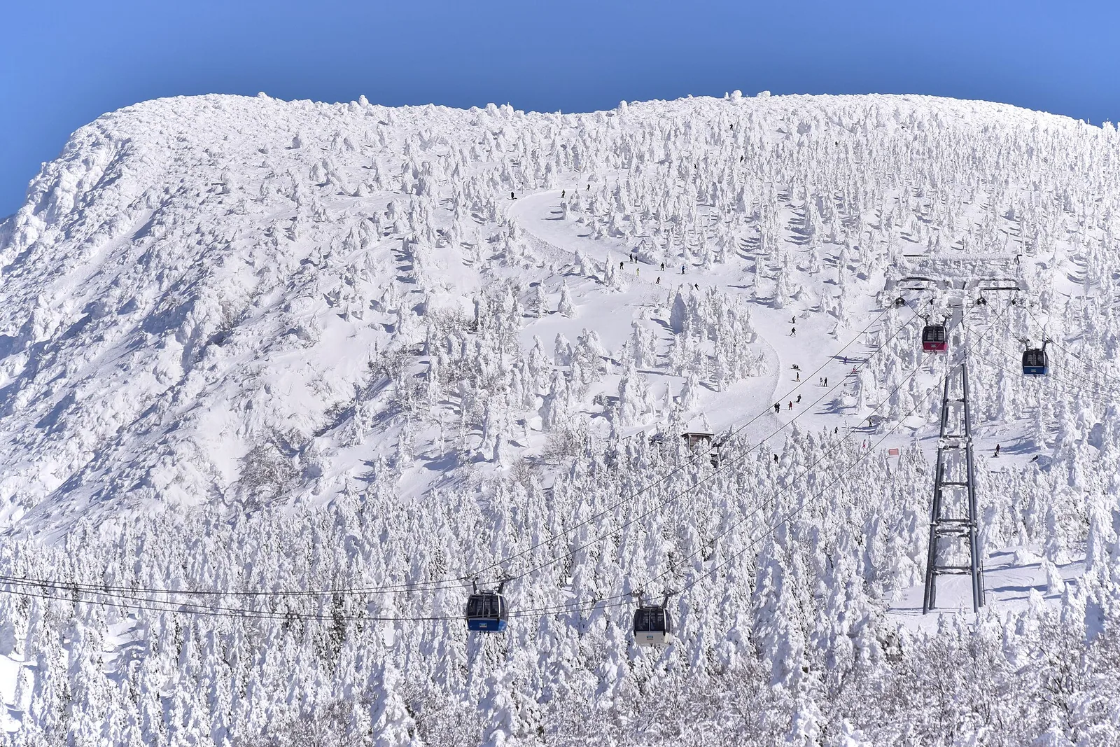 Zao onsen ski area (51843582704)
