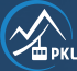 Palenica logo