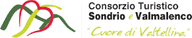 Valmalenco Bernina logo