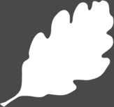 Midlothian Snowsports Centre logo