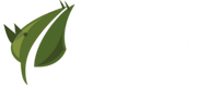 Dzikowiec logo