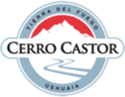 Cerro Castor logo