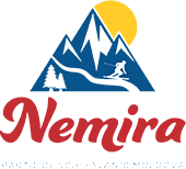 Nemira logo