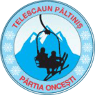 Telescaun Păltiniș logo