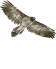 Rhemes - Notre Dame logo