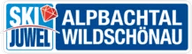 Ski Juwel Alpbachtal-Wildschönau logo